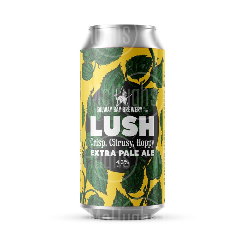 Galway Bay Lush 440ml