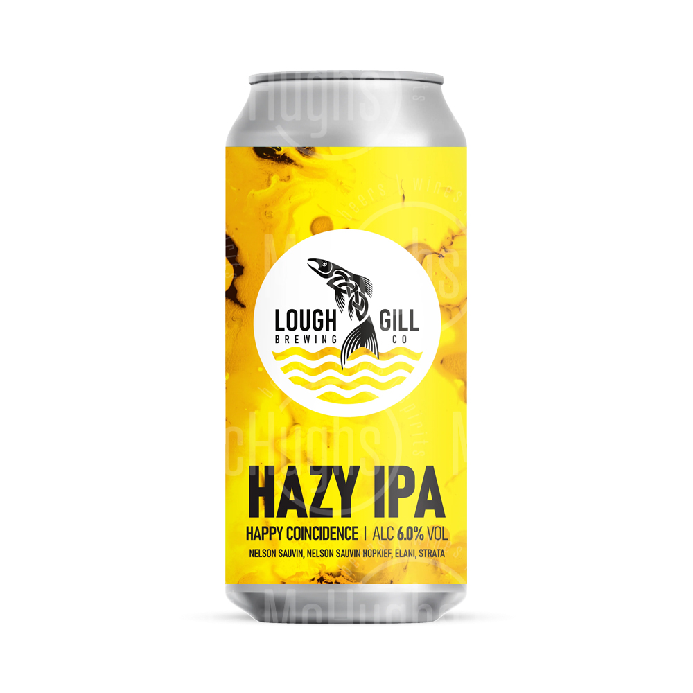 Lough Gill Happy Coincidence 440ml