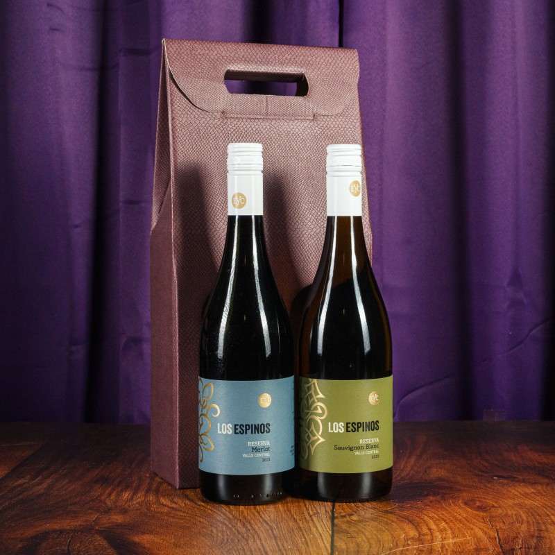 Twin Bottle Gift Pack - Chile